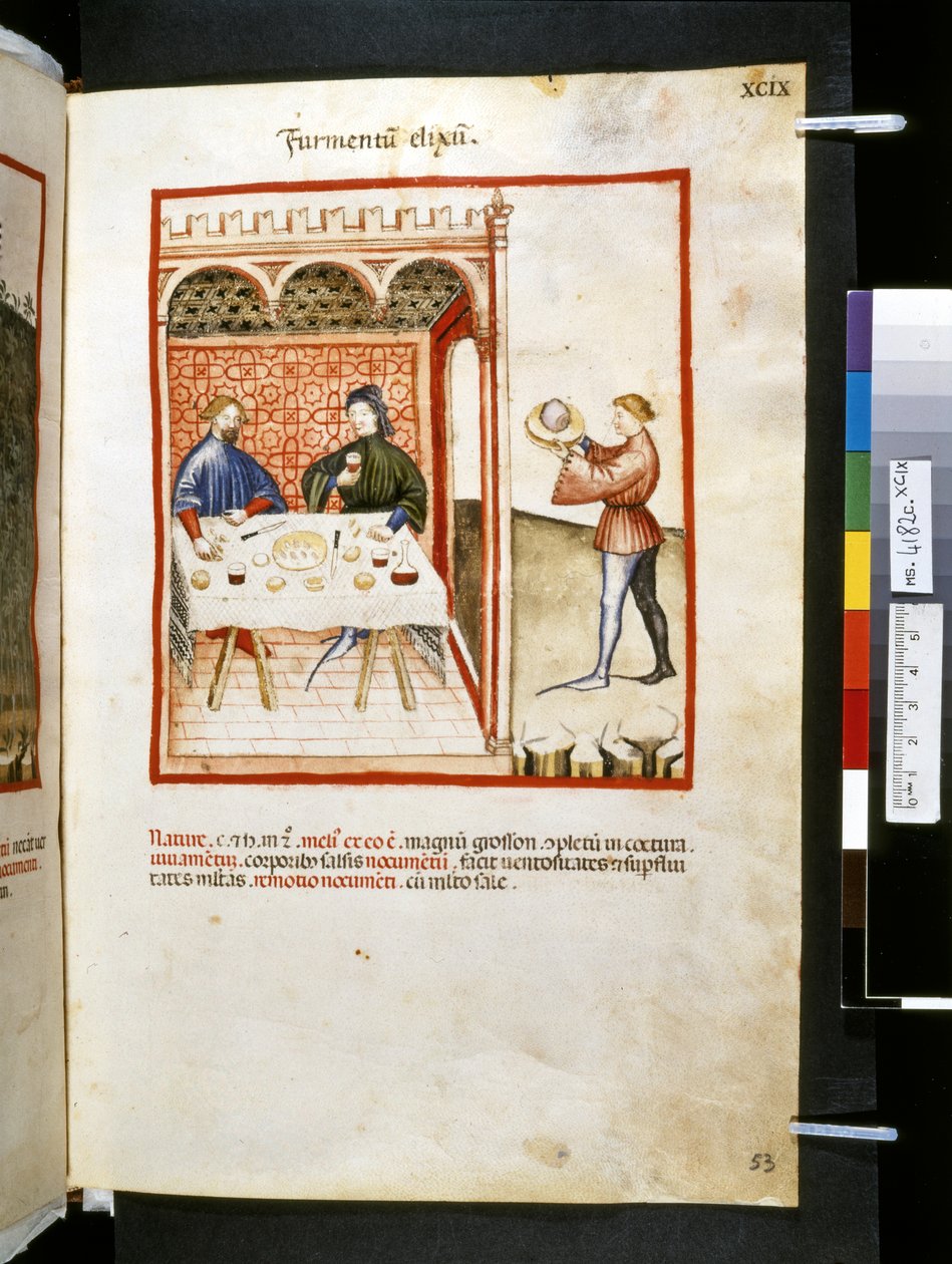 Theatrum sanitatis de Ububchasym de Baldach: "Furmentum Elixum", primeira década do século XIV (miniatura) de Giovannino de