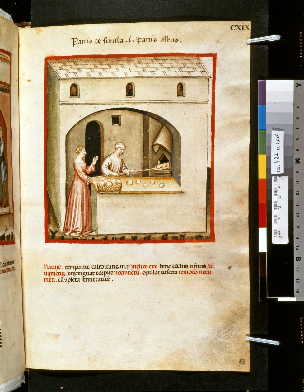 Theatrum sanitatis de Ububchasym de Baldach: "Panis de Simila", primeira década do século XIV (miniatura) de Giovannino de
