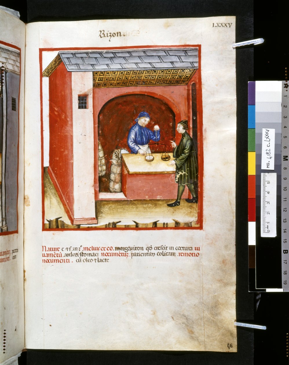Theatrum sanitatis de Ububchasym de Baldach: "Rizon", primeira década do século XIV (miniatura) de Giovannino de