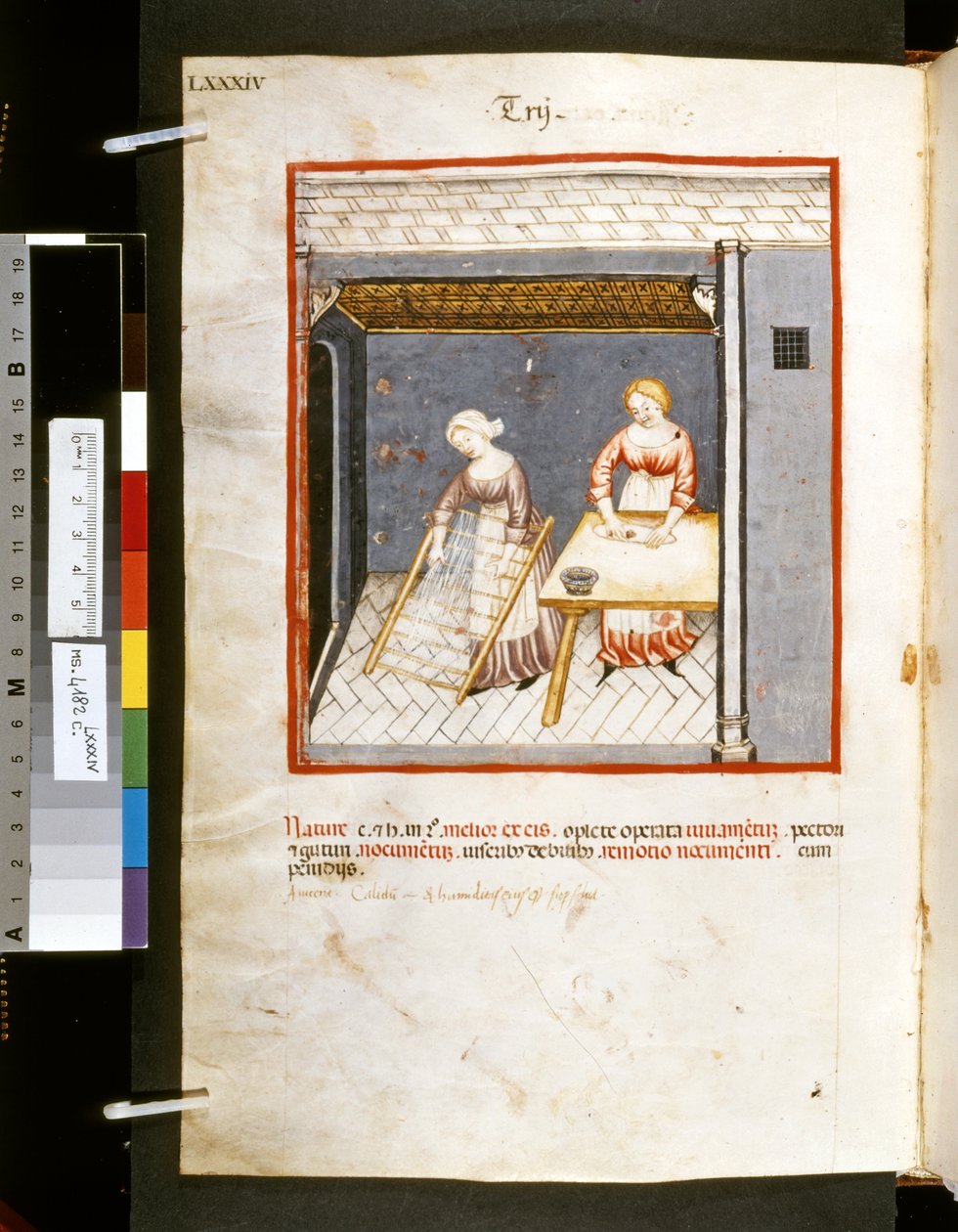 Theatrum sanitatis de Ububchasym de Baldach: "Trij", primeira década do século XIV (miniatura) de Giovannino de