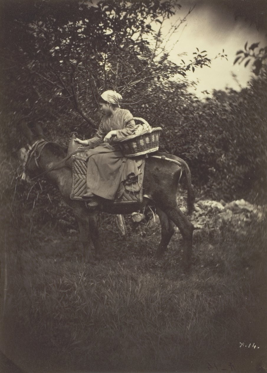 Camponesa Montada em Burro, 1870. de Giraudon