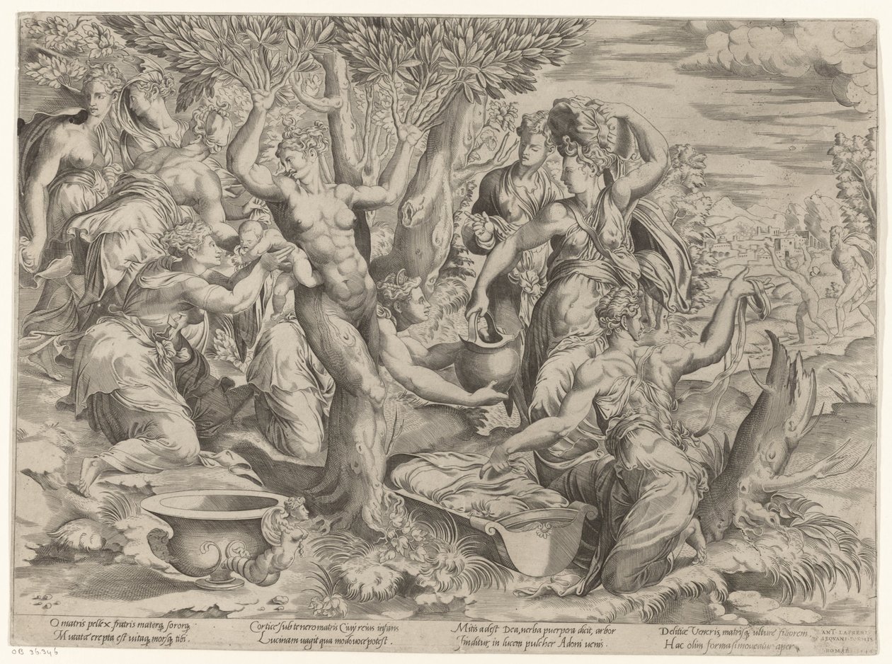 Nascimento de Adônis de Girolamo Fagiuoli (attributed to)