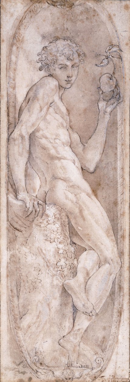 Adam segurando uma maçã, sentado, em um medalhão, c.1547-1553 de Girolamo Mazzola Bedoli