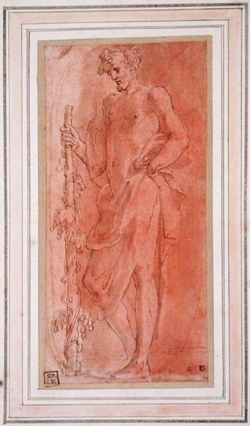 Bacchus (caneta e tinta marrom e lavagem em papel) de Girolamo Mazzola Bedoli