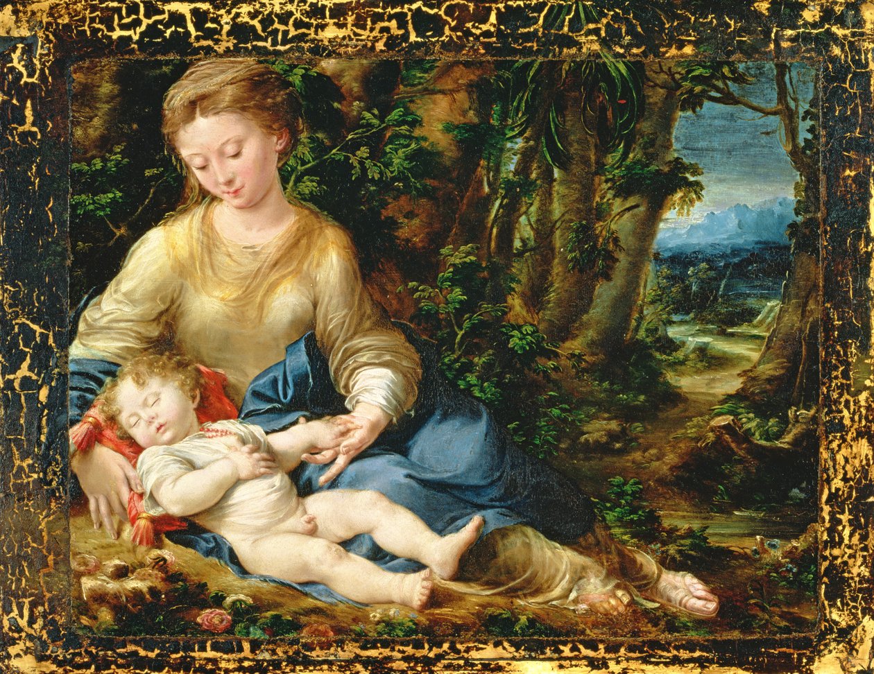 A Virgem e o Menino em uma Paisagem, c.1536-37 de Girolamo Mazzola Bedoli