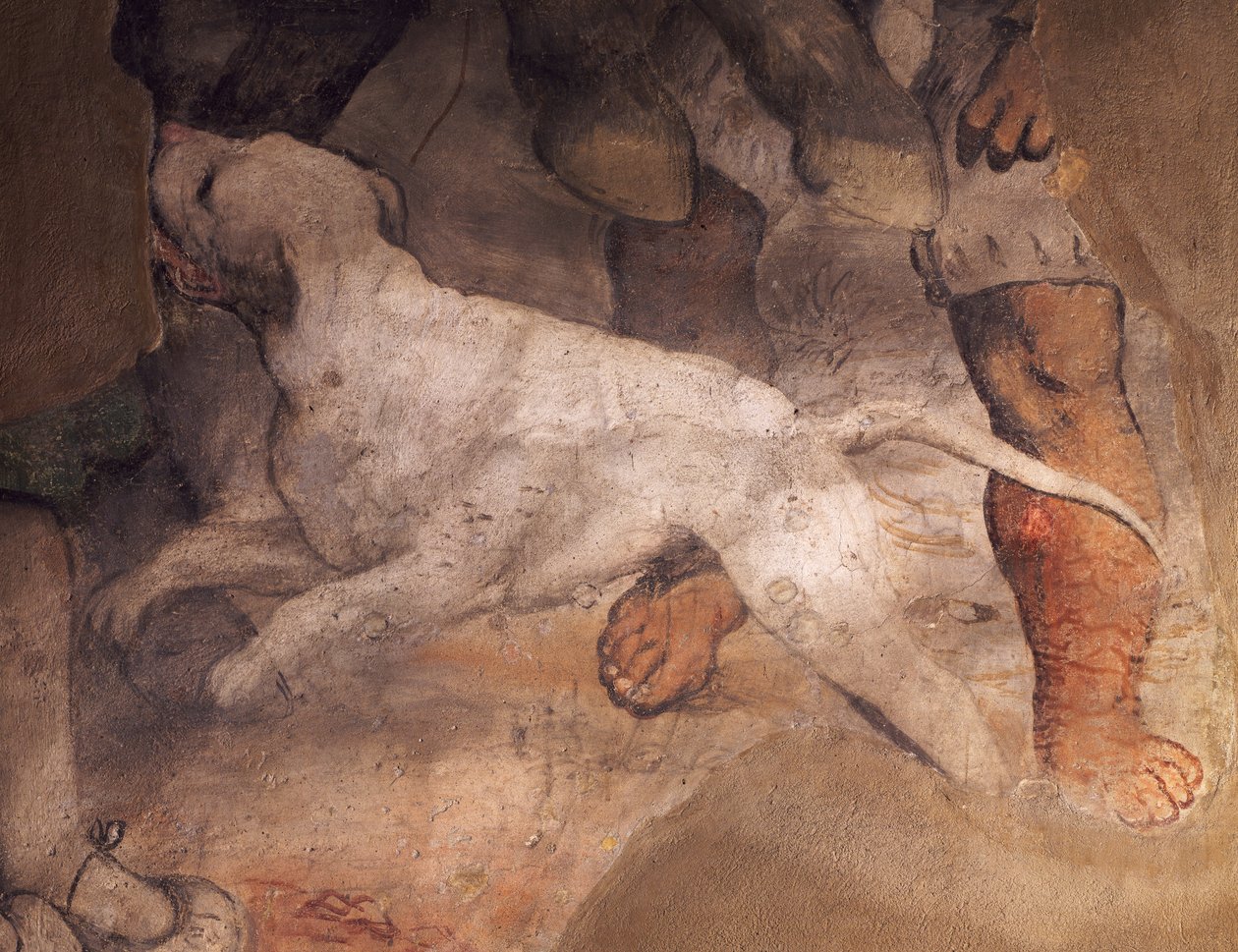 Figura de cão, detalhe do fresco de Girolamo Romanino (ca1484-1566), Igreja de Sant