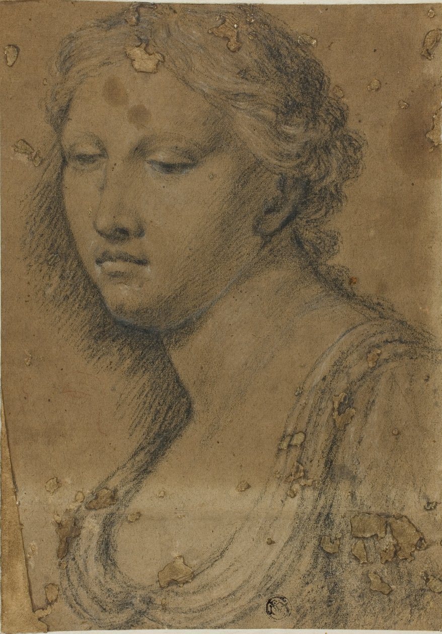 busto de mulher de Girolamo da Carpi