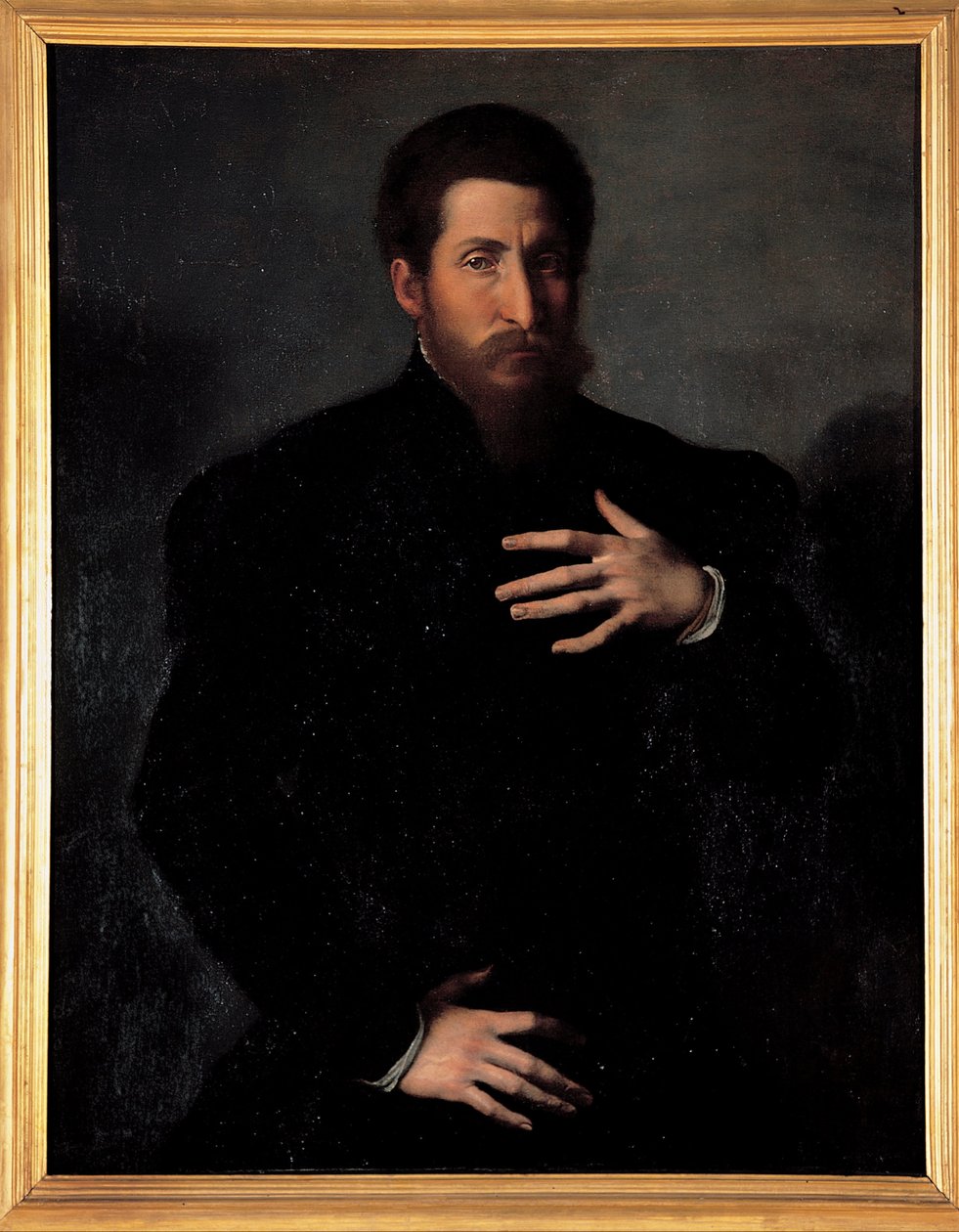 Retrato de um homem viril de Girolamo da Carpi