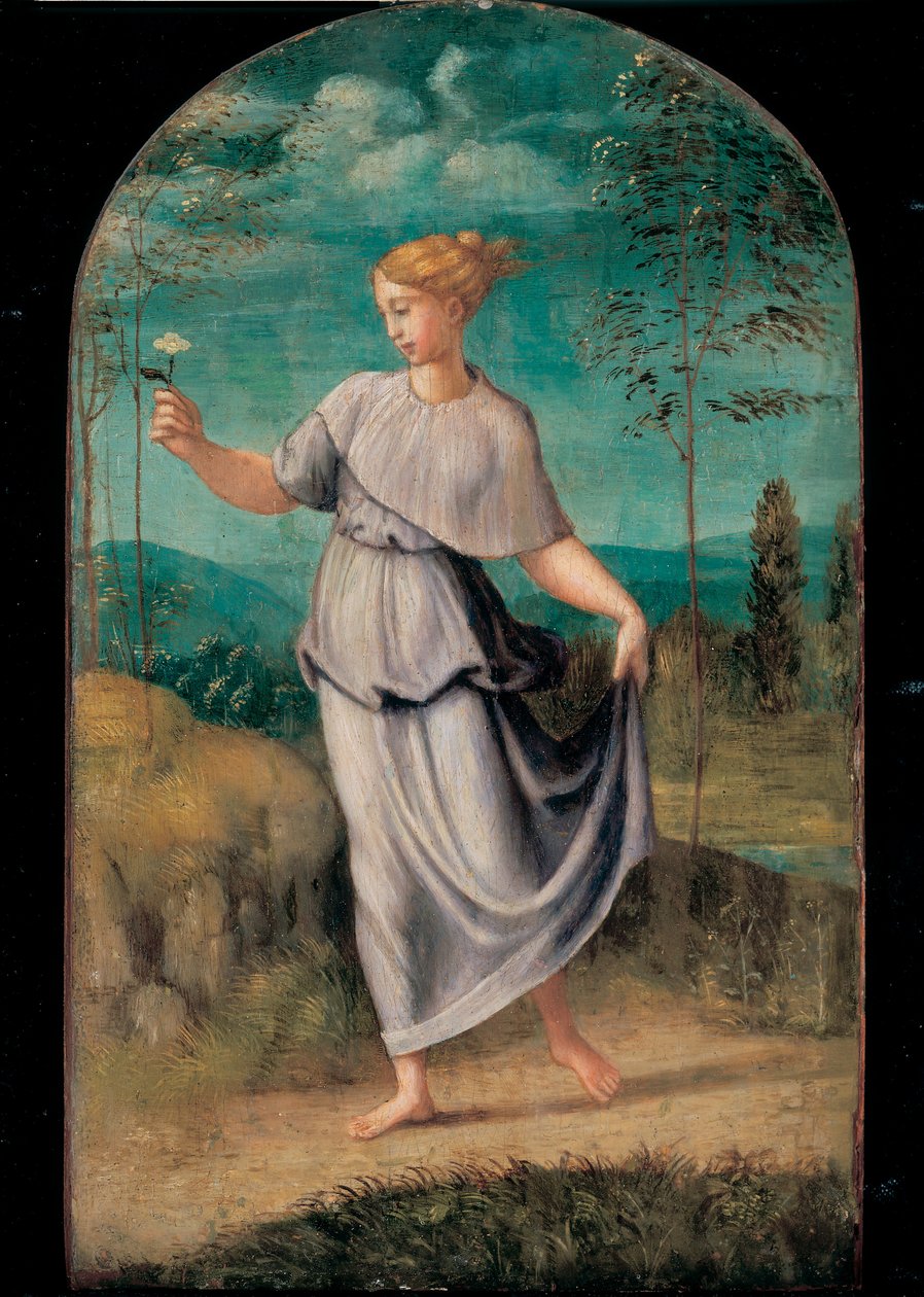Jovem mulher segurando uma flor com uma extensa paisagem além de Girolamo da Carpi