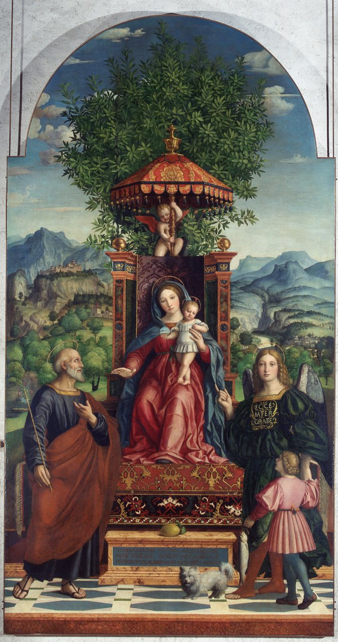 Madona do Guarda-Chuva de Girolamo dai Libri, Museu de Castelvecchio de Girolamo dai Libri
