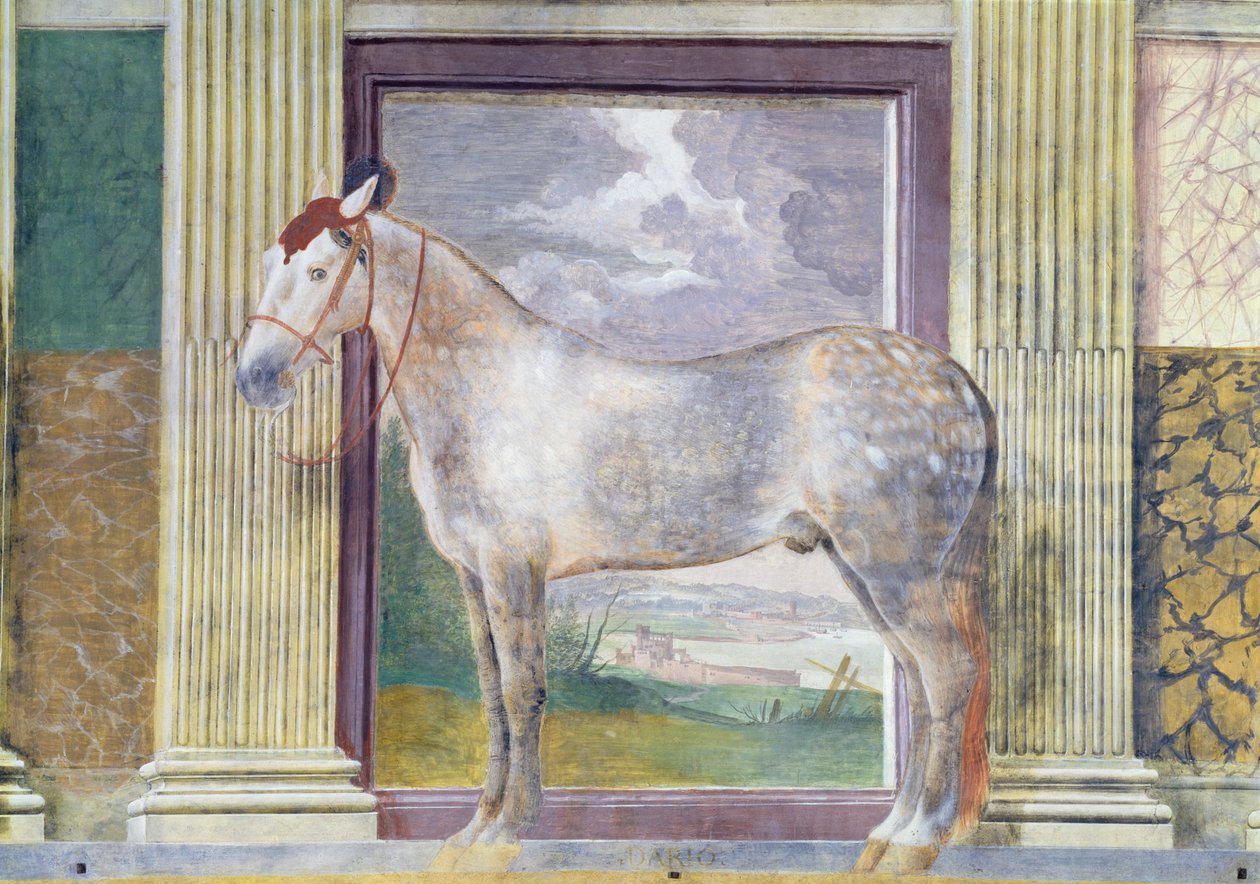 Sala dei Cavalli, detalhe mostrando um retrato de &39;Dario&39;, um cavalo dos estábulos de Ludovico Gonzaga III de Mântua, 1528 de Giulio Romano