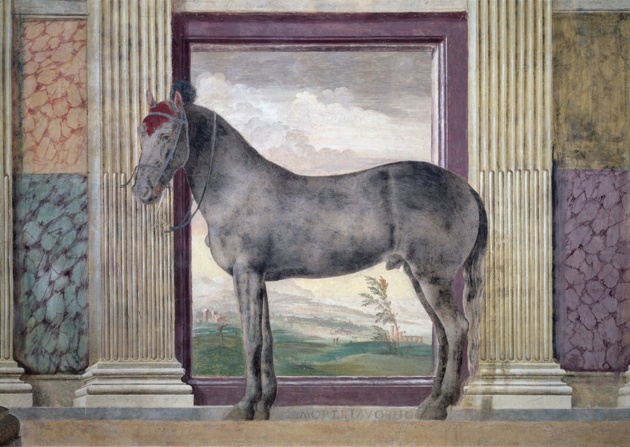 Sala dei Cavalli, detalhe mostrando um retrato de &39;Morel Favorito&39;, um cavalo dos estábulos de Ludovico Gonzaga III de Mântua, 1528 de Giulio Romano