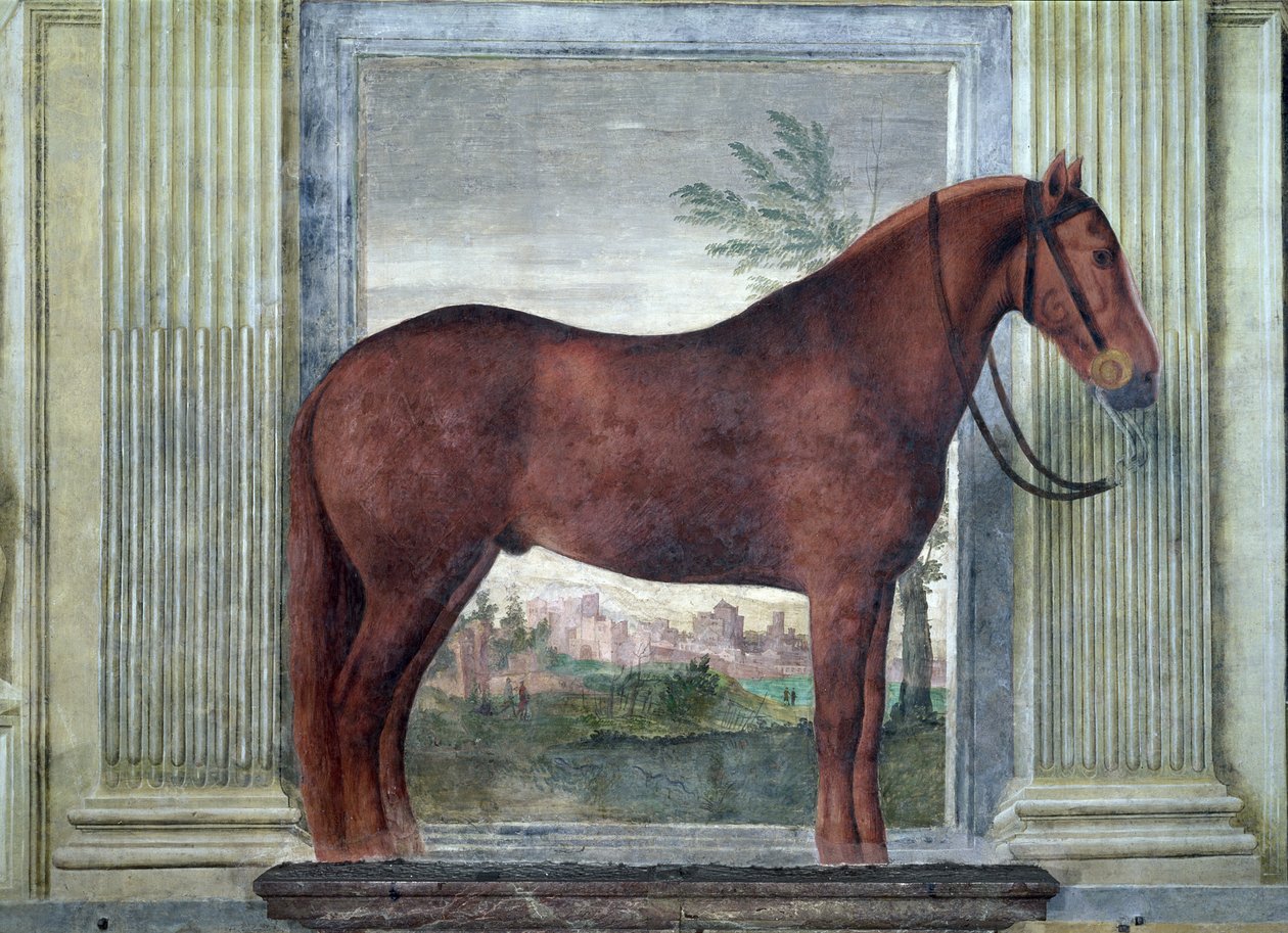 Sala dei Cavalli, detalhe mostrando um retrato de um cavalo castanho dos estábulos de Ludovico Gonzaga III de Mântua, sua bochecha marcada com um &39;G&39;, 1528 de Giulio Romano