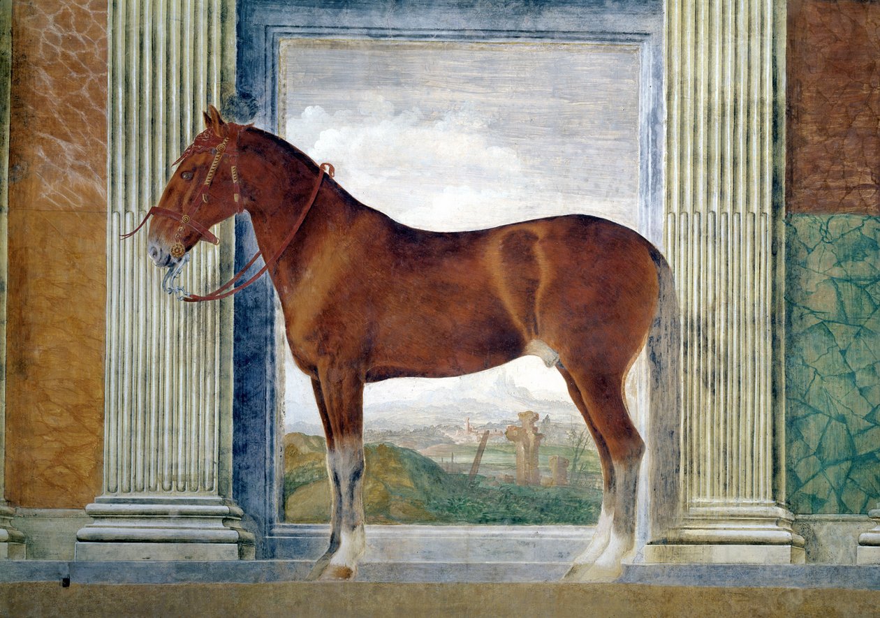 Sala dei Cavalli, detalhe mostrando um retrato de um cavalo castanho dos estábulos de Ludovico Gonzaga III de Mântua, 1528 de Giulio Romano