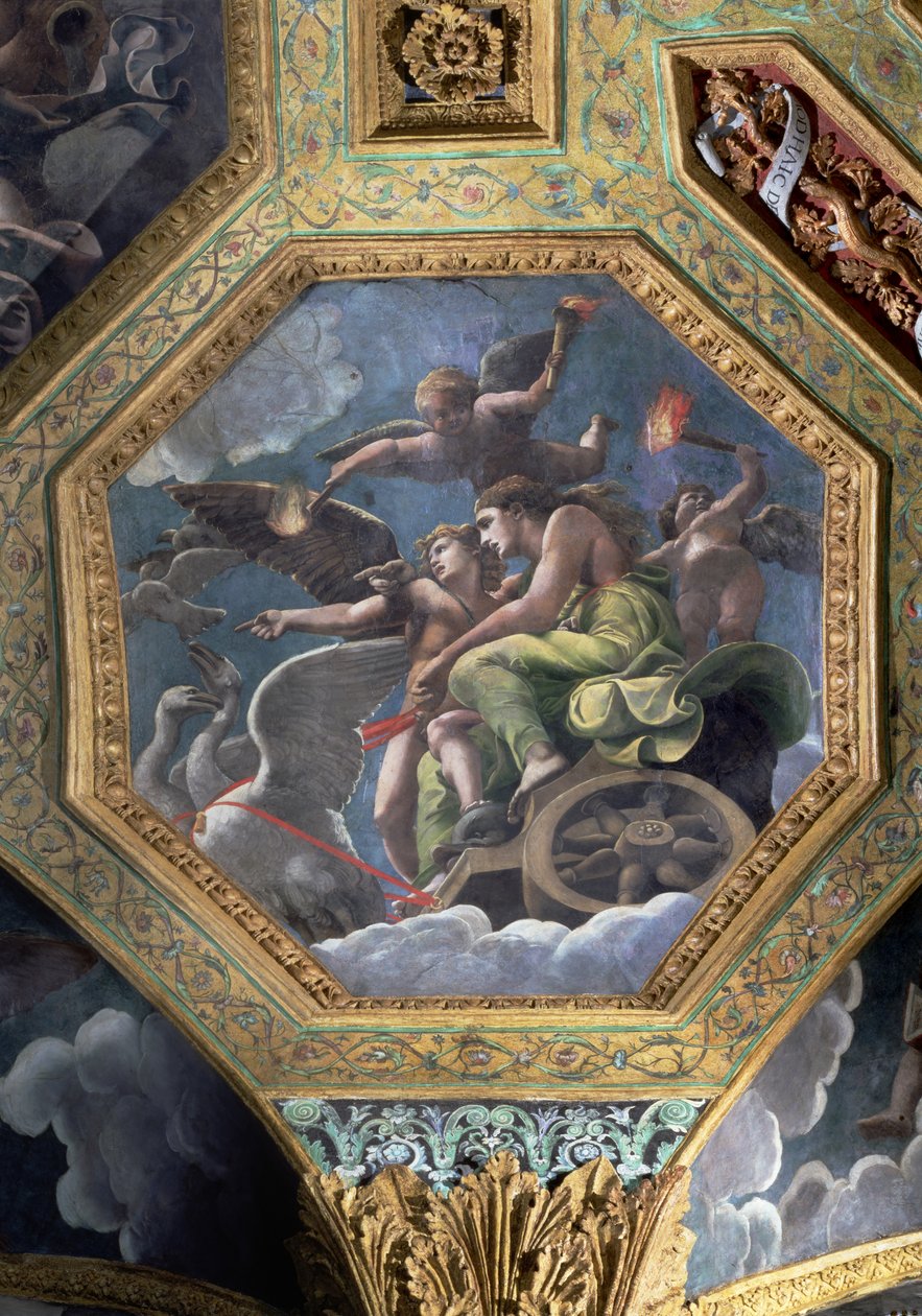 Vênus e Cupido em uma carruagem puxada por cisnes, caixão do teto da Sala di Amore e Psiche, 1528 (óleo sobre estuque) de Giulio Romano