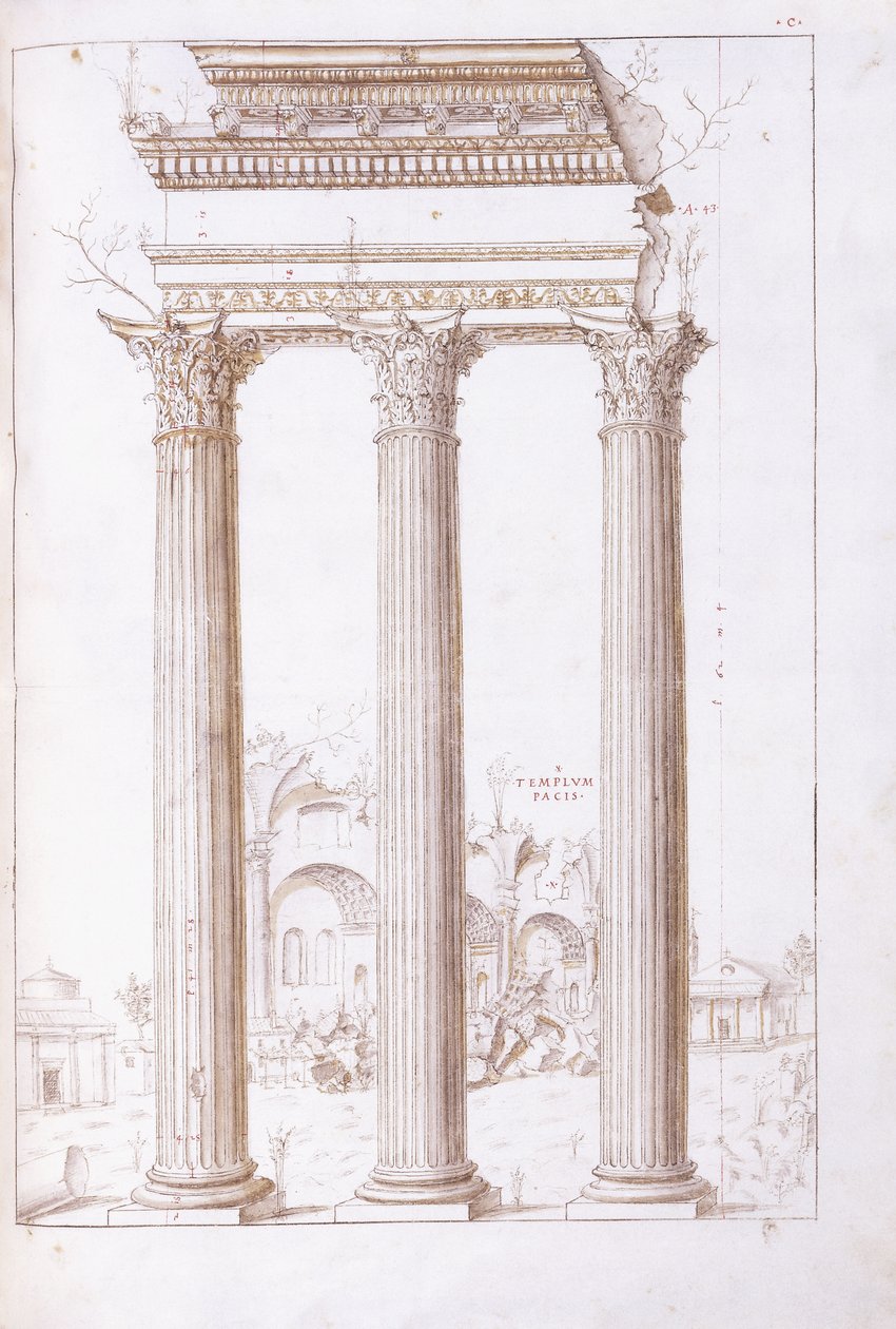 As colunas do templo de Castor e Pólux, com o templo da Paz ao fundo, c.1550 (um desenho original em giz preto, caneta e tinta marrom) de Giulio (circle of) Romano