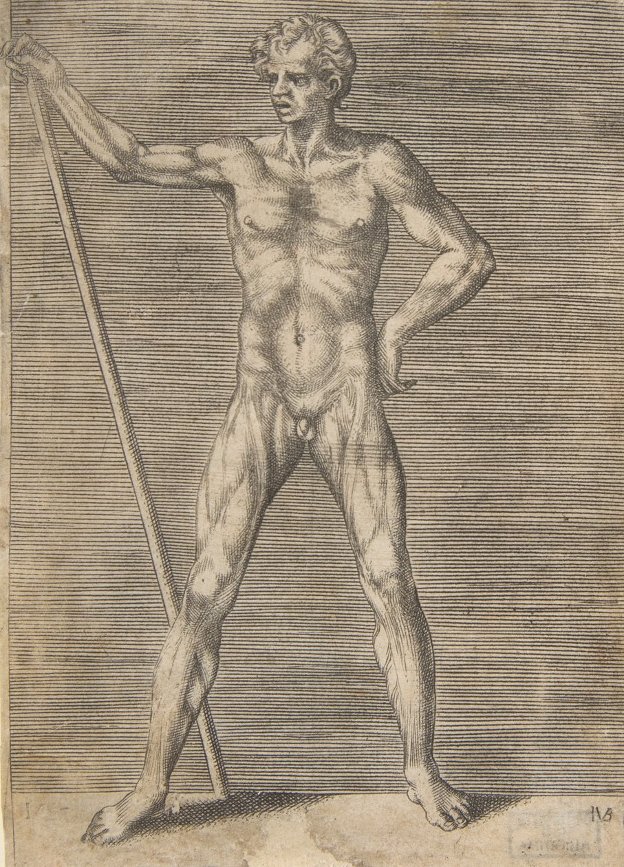 Homem esfolado visto de frente, segurando um pau, ca. 1531-76. de Giulio Bonasone
