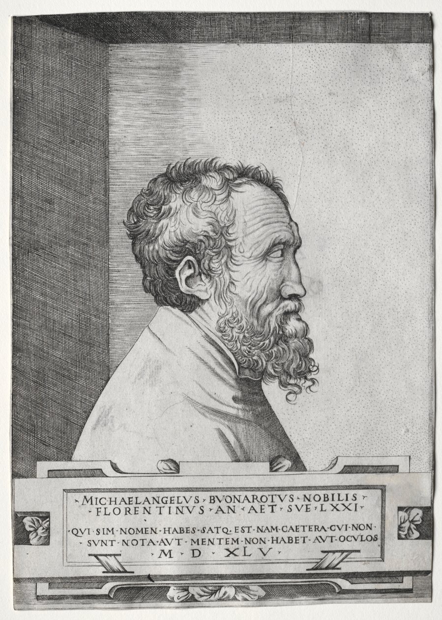 Retrato de Michelangelo de perfil virado para a direita de Giulio Bonasone
