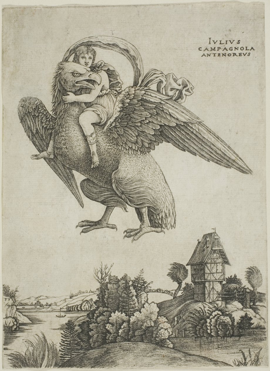 Ganimedes de Giulio Campagnola