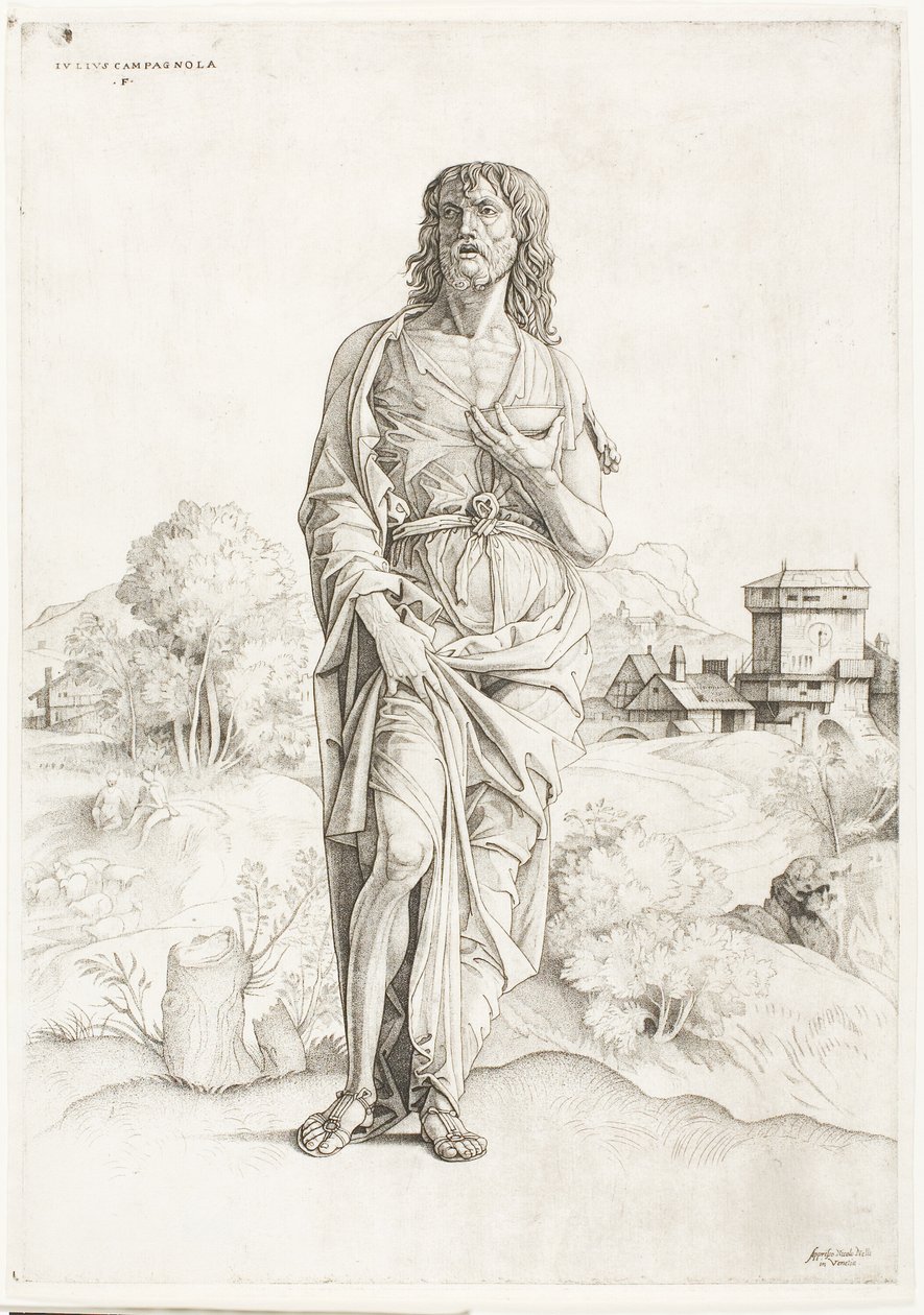 São João Baptista de Giulio Campagnola