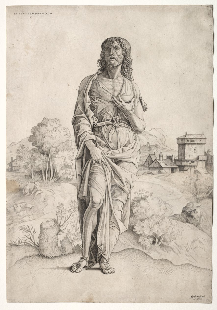 São João Batista de Giulio Campagnola