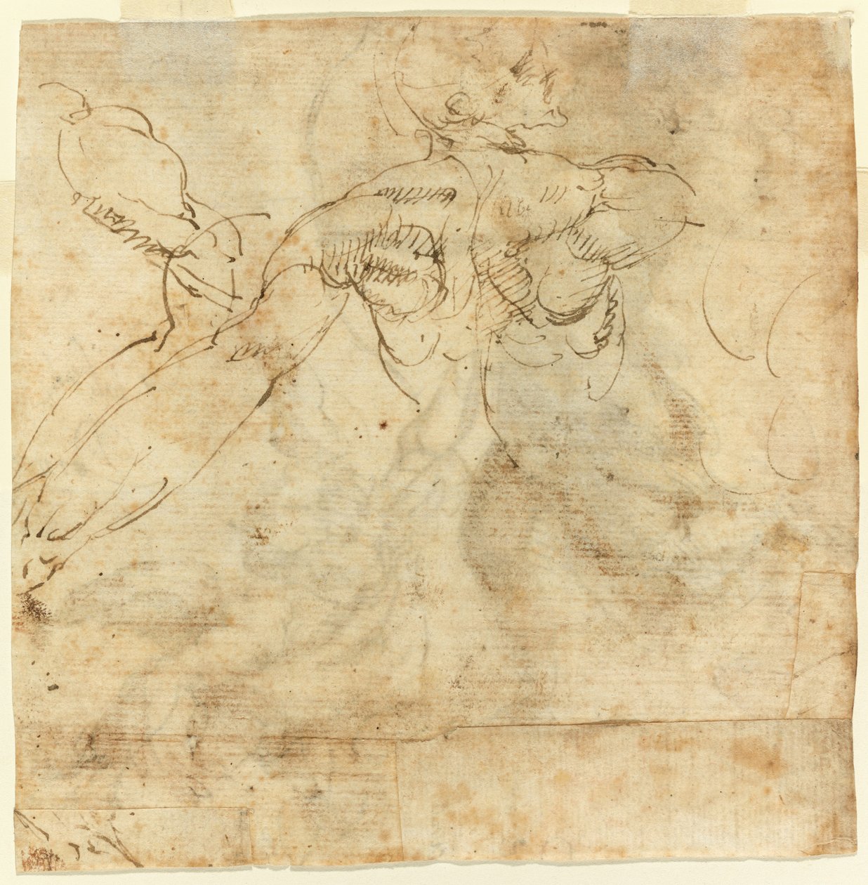 Estudo de uma volta de Giulio Cesare Procaccini