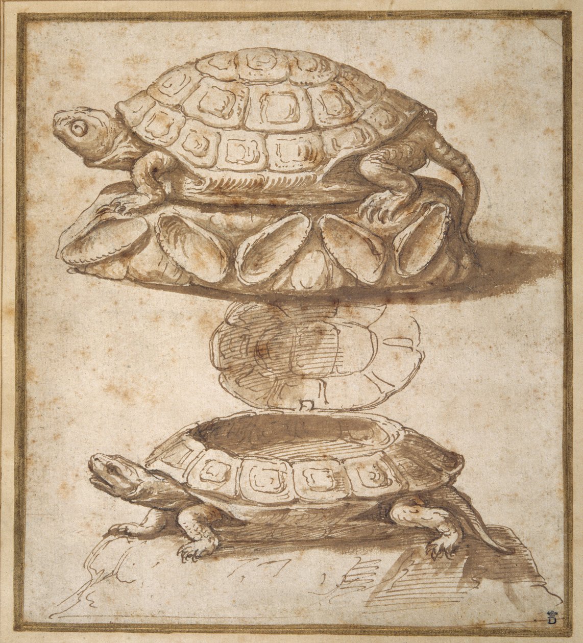 Caixa de doces em forma de tartaruga de Giulio Romano