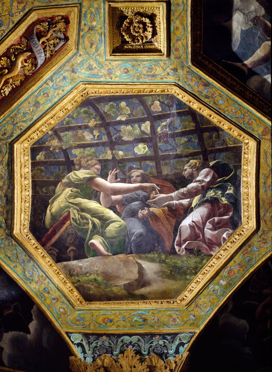 Mulheres reunindo uvas, caixão do teto do Salão do Amor e Psique, 1528 (óleo sobre estuque) de Giulio Romano