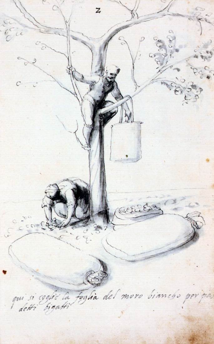 Tratado sobre Cultura e Fabricação de Seda de Giuseppe Arcimboldo