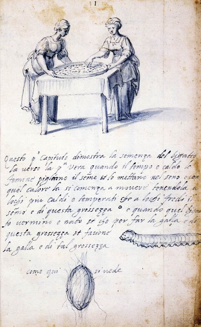 Tratado sobre cultura e manufatura da seda (série de treze desenhos, nº 1) de Giuseppe Arcimboldo