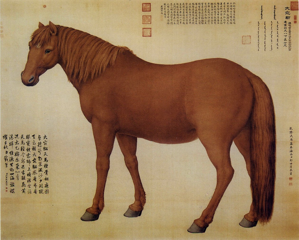 um cavalo chamado Dawanliu de Giuseppe Castiglione