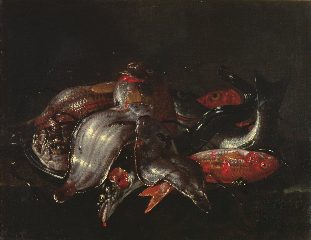 Ainda vida de peixe, c.1670-80 de Giuseppe Recco