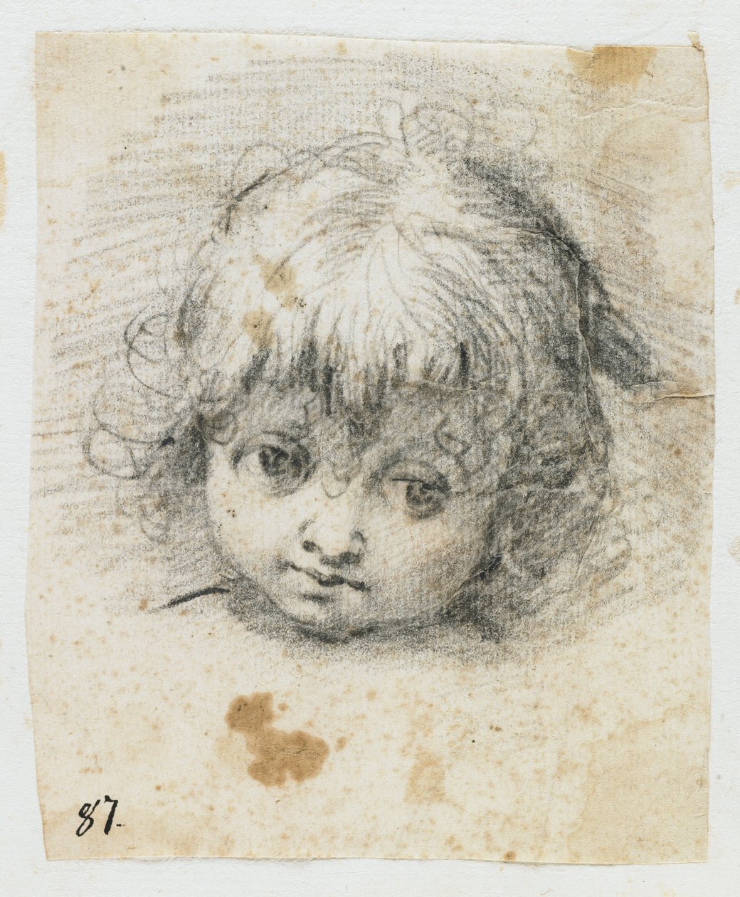Retrato de uma criança (giz preto) de Giuseppe Cesari