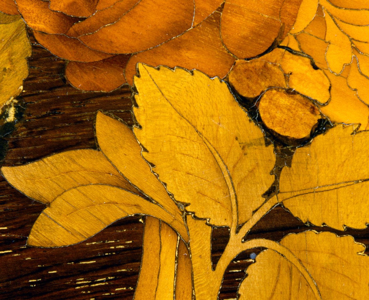 Folhas, detalhe da decoração embutida de mesa da escola Giuseppe Maggiolini. Itália, final do século XVIII de Giuseppe (school of) Maggiolini
