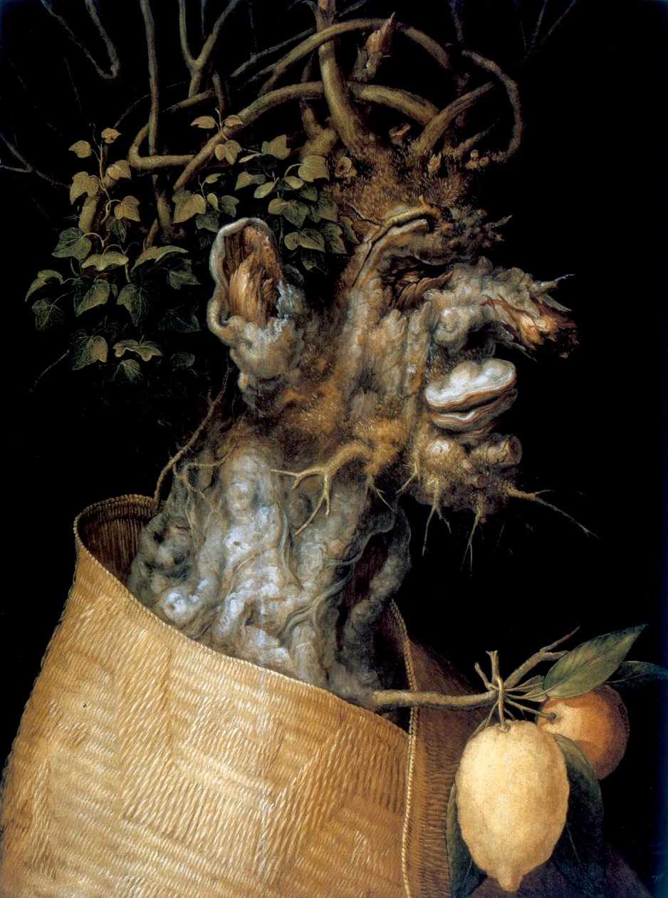 Inverno, 1563 de Giuseppe Arcimboldi