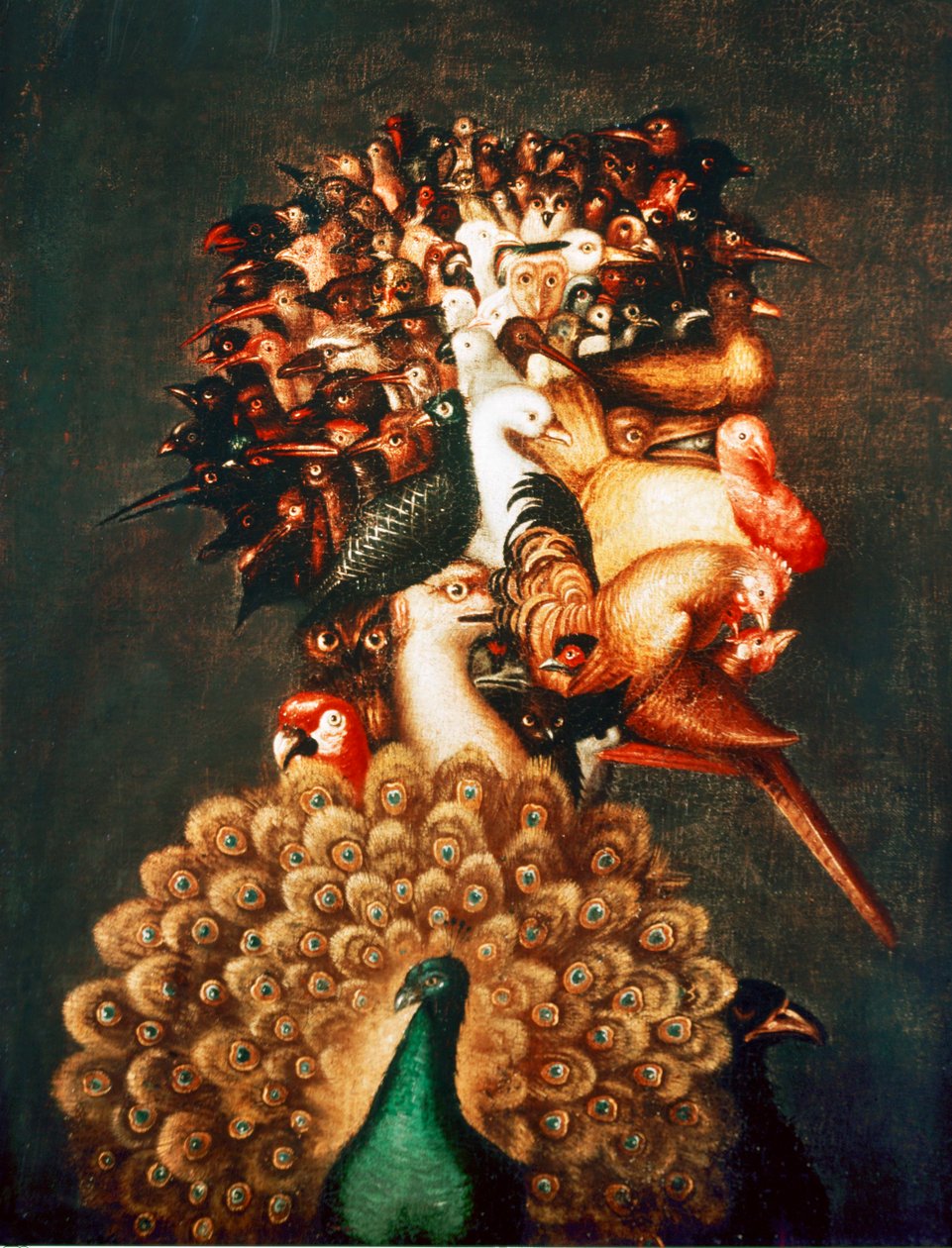  de Giuseppe Arcimboldo