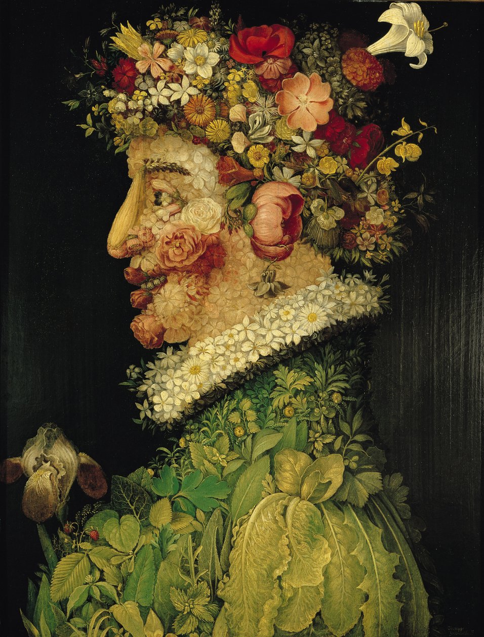 Mola de Giuseppe Arcimboldo
