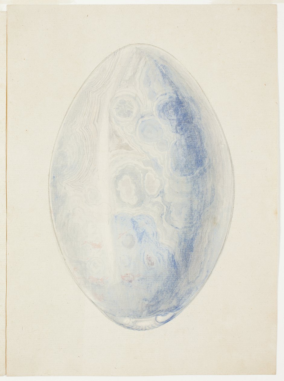 Visão geral da pedra de concha oval de Giuseppe Grisoni