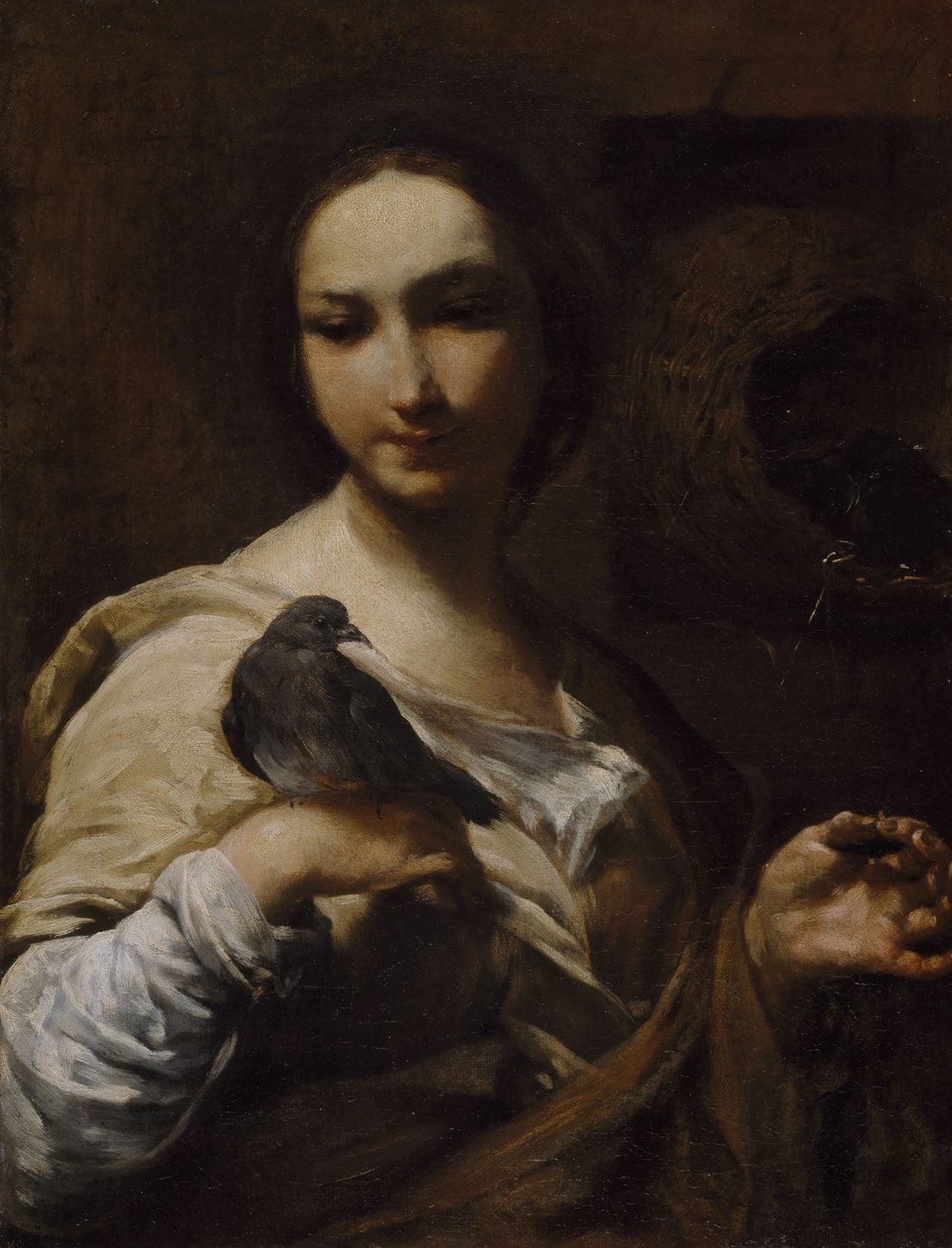 Garota segurando uma pomba, 1721-27. de Giuseppe Maria Crespi