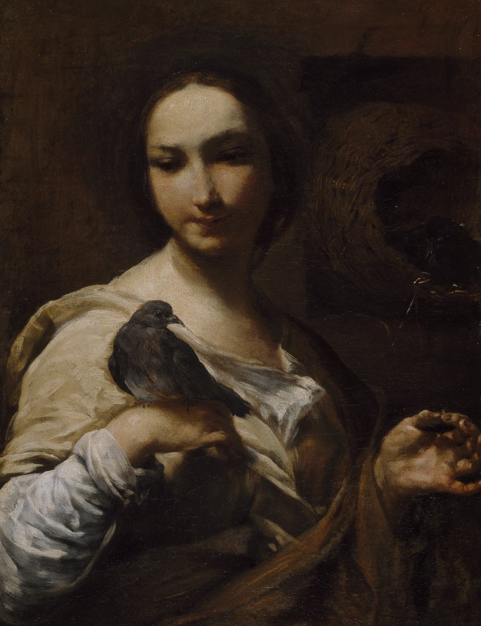 Menina segurando uma pomba, 1721-27 de Giuseppe Maria Crespi