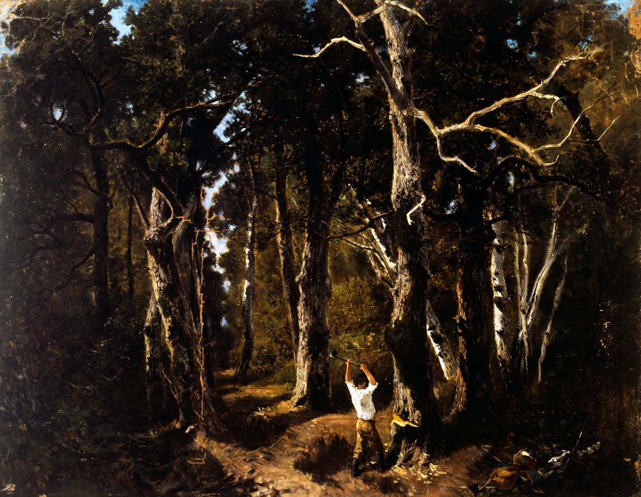 O lenhador em Fontainebleau (óleo sobre tela) de Giuseppe Palizzi
