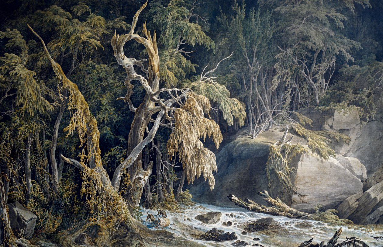 Paisagem rochosa com árvores arrancadas, de Giuseppe Pietro Bagetti (1764-1831). de Giuseppe Pietro Bagetti
