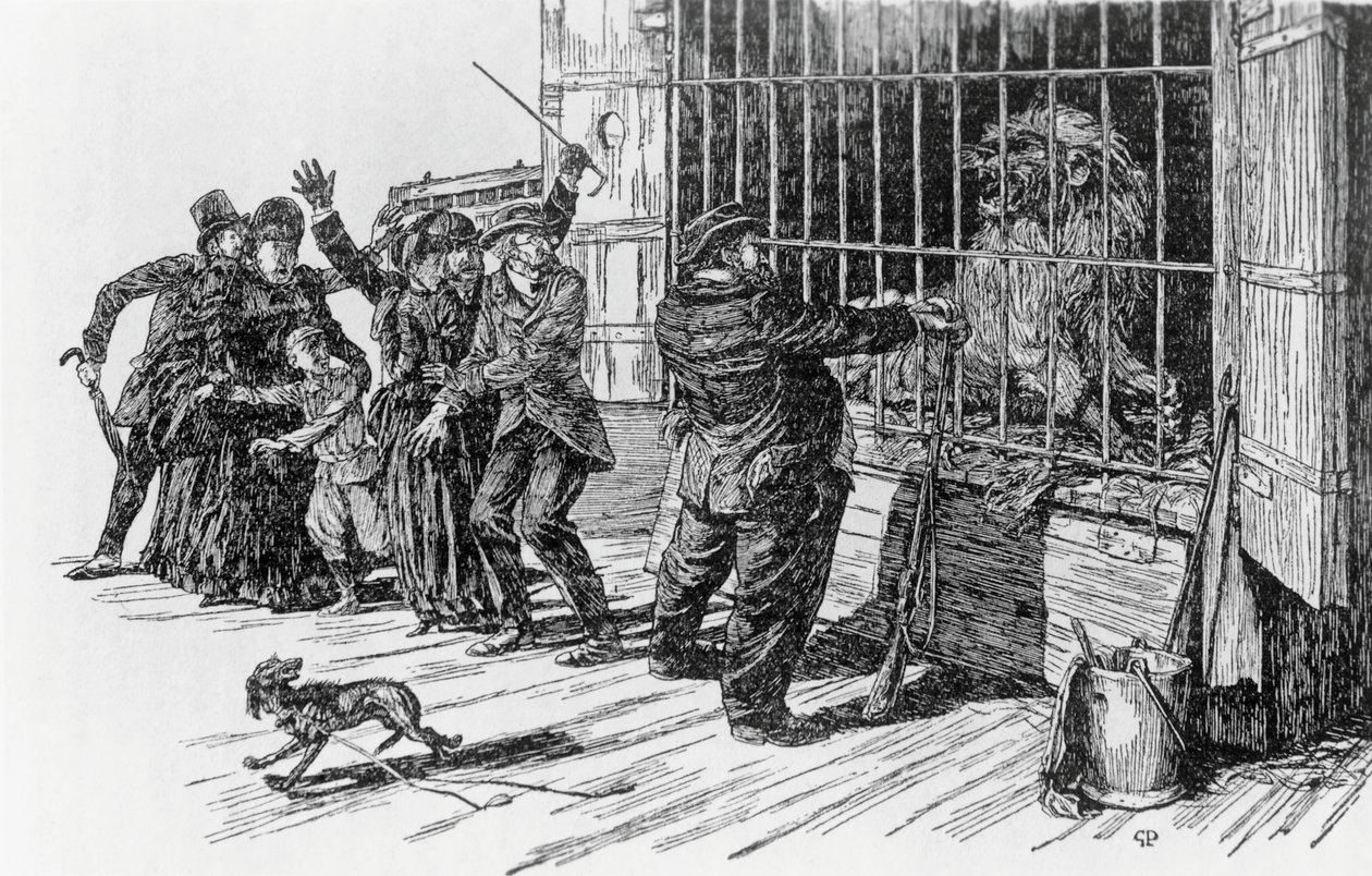 Tartarin e a jaula do leão, ilustração para Tartarin nos Alpes por Alphonse Daudet Milan de Giuseppe Porcheddu