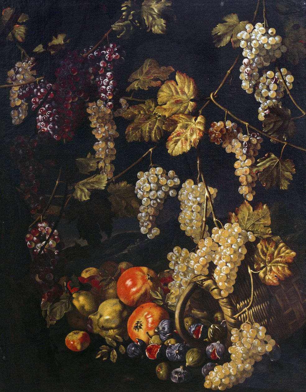 Natureza morta com uvas, folhas de videira e outras frutas, pintura a óleo de Giuseppe Recco (1634-1695) de Giuseppe Recco