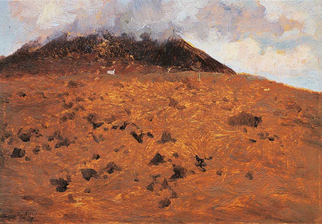 Nas encostas do Vesúvio de Giuseppe or Joseph de Nittis