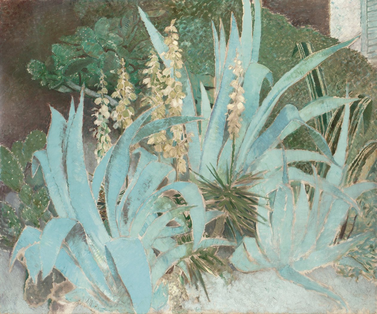 Cacto (óleo sobre tela) de Glyn Warren Philpot