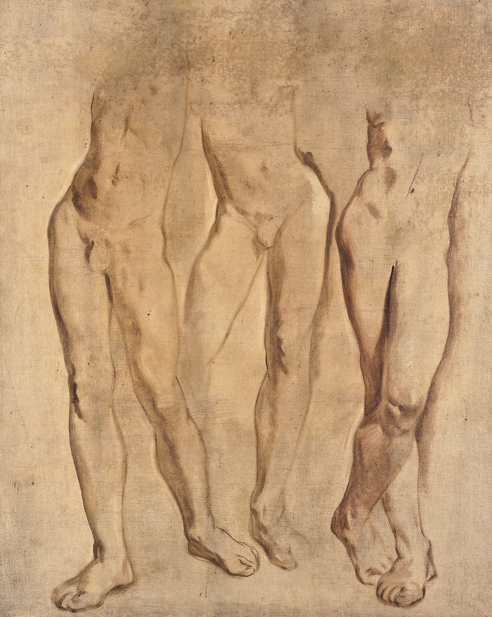 Três estudos de um nu masculino, c. 1923-24 (óleo sobre tela) de Glyn Warren Philpot