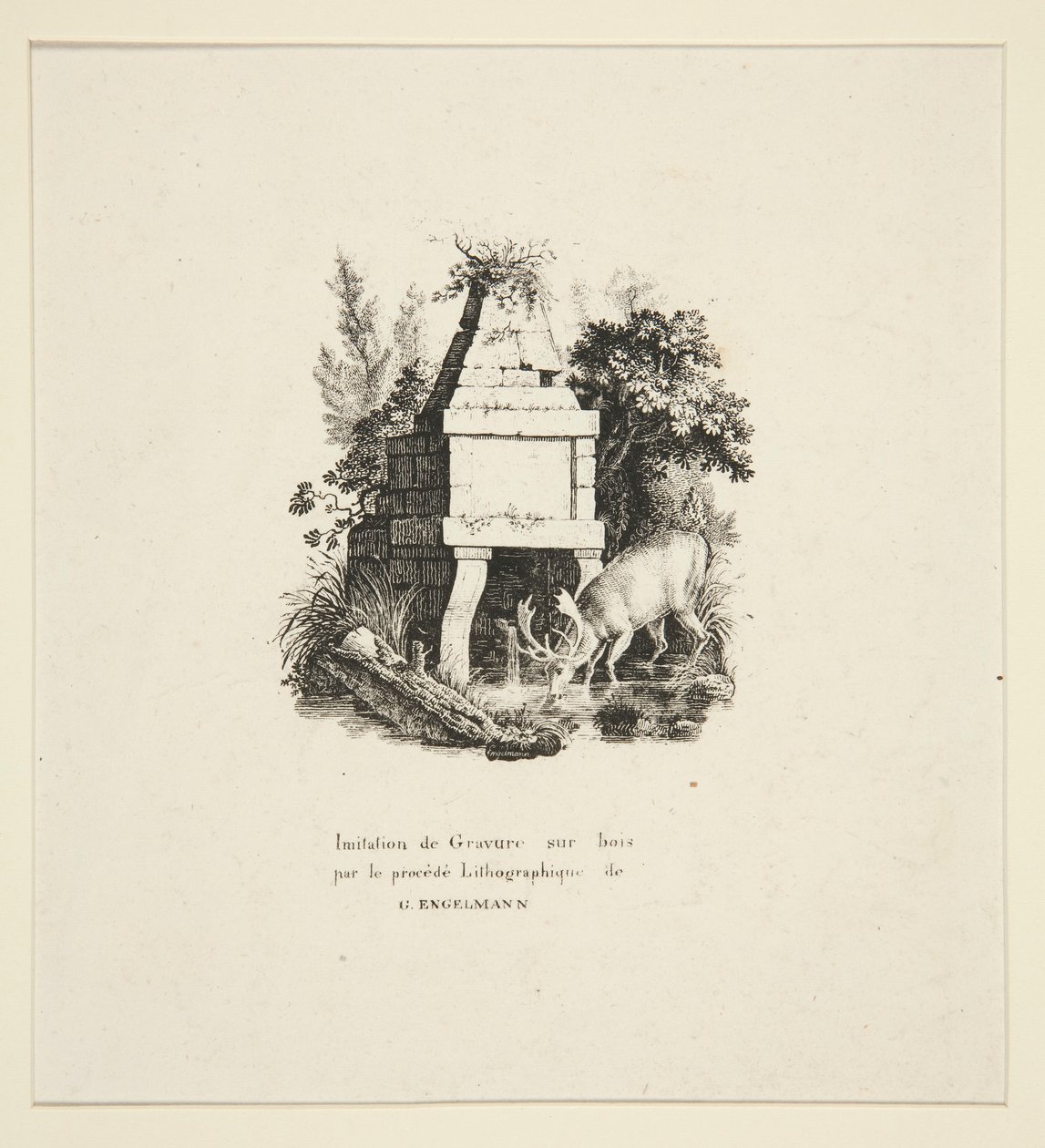 Bebidas de veado de Godefroy Engelmann
