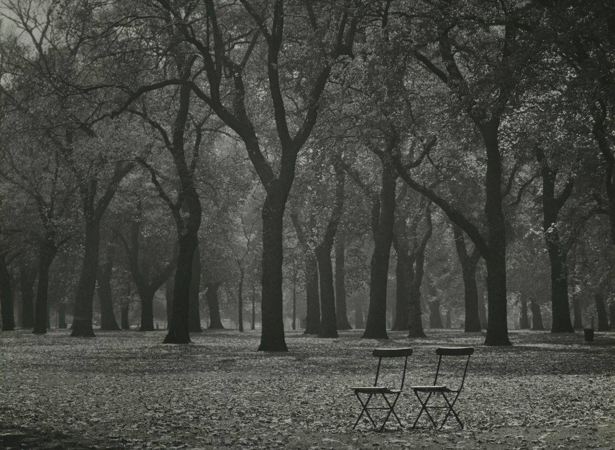 Árvores de outono no Hyde Park, Londres de Godfrey Macdominic