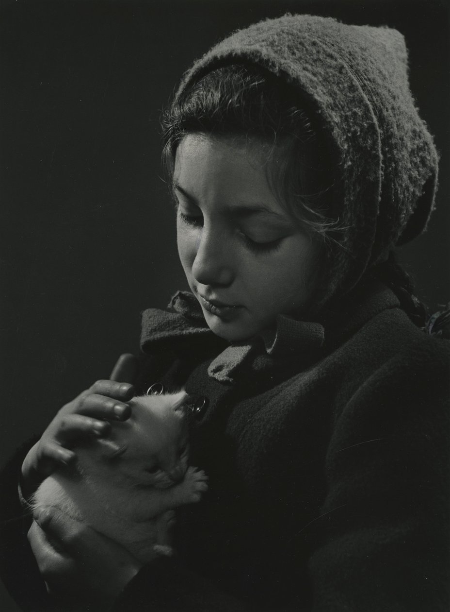 Rapariga com um gatinho branco nos braços. Início da década de 1950 de Godfrey Macdominic